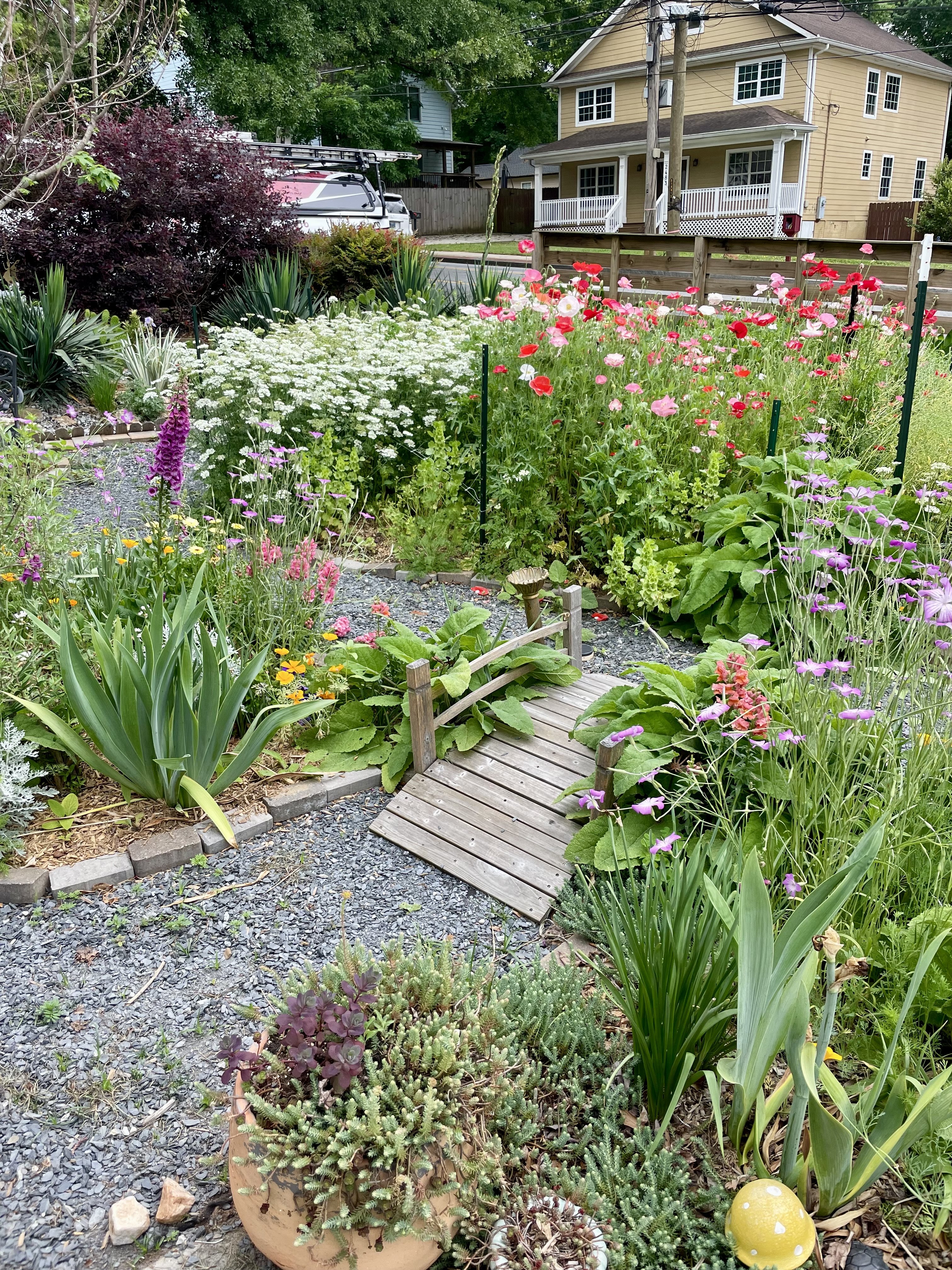 Chelsea's garden in full bloom