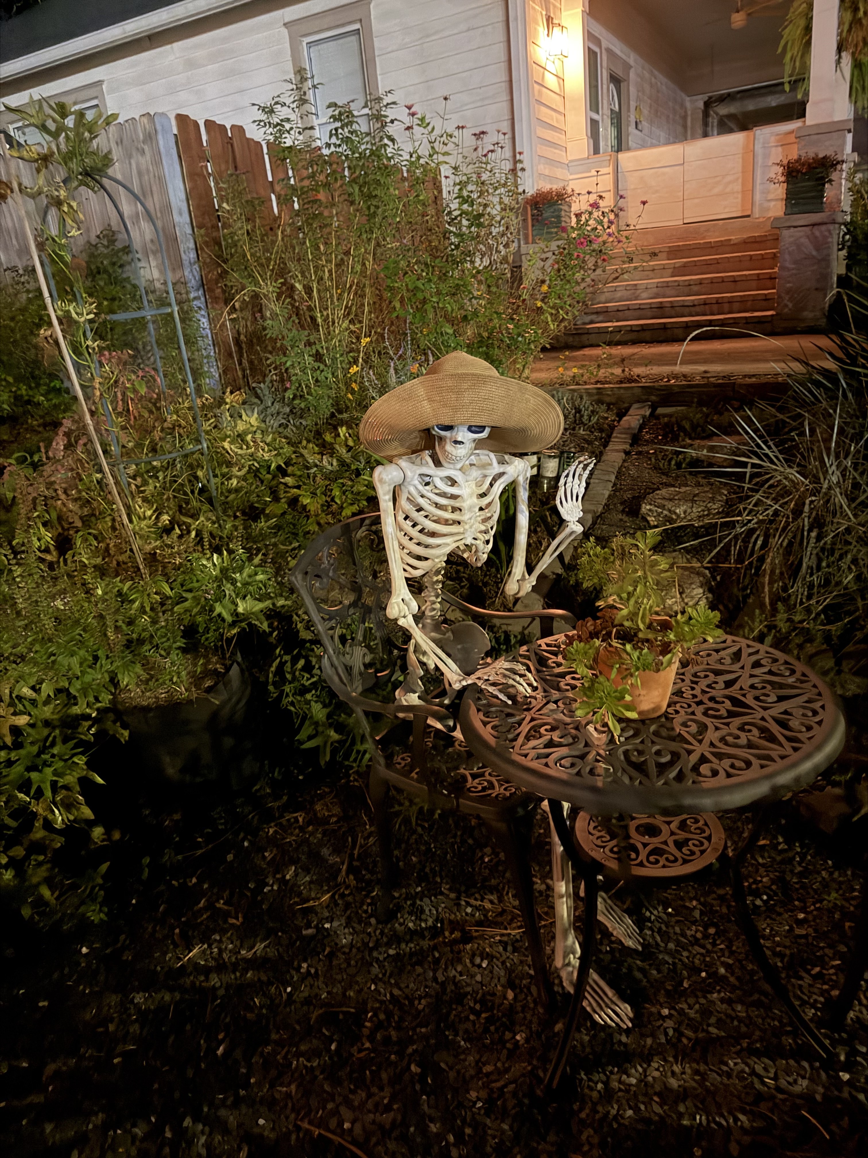The garden skeleton — a fall garden tradition